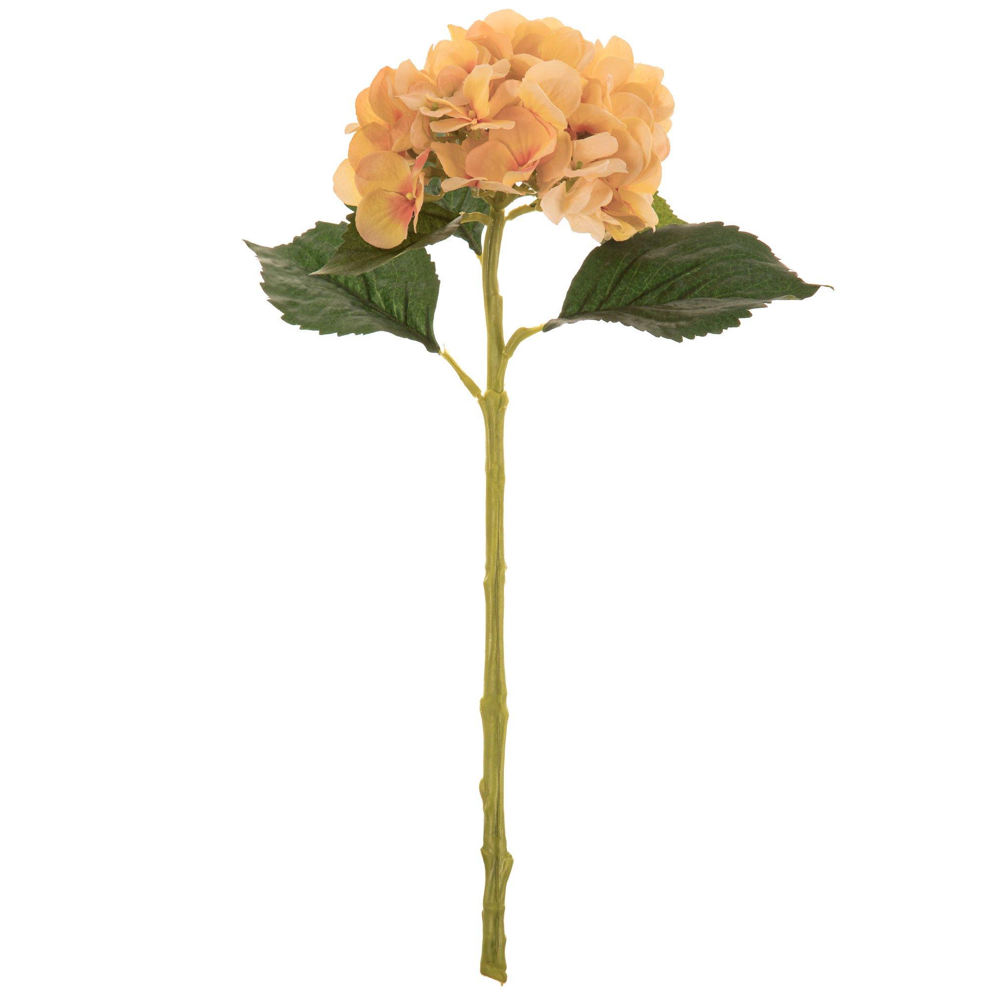 Hydrangea Stem Hobby Lobby 744888