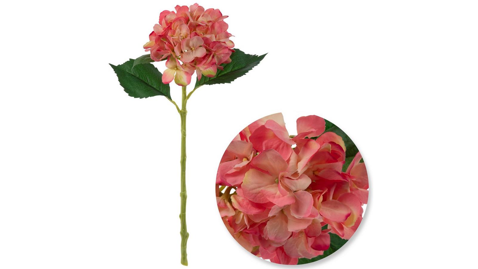 Hydrangea4937　0203 Blue Hydrangea - TF129-1 ($69.26)