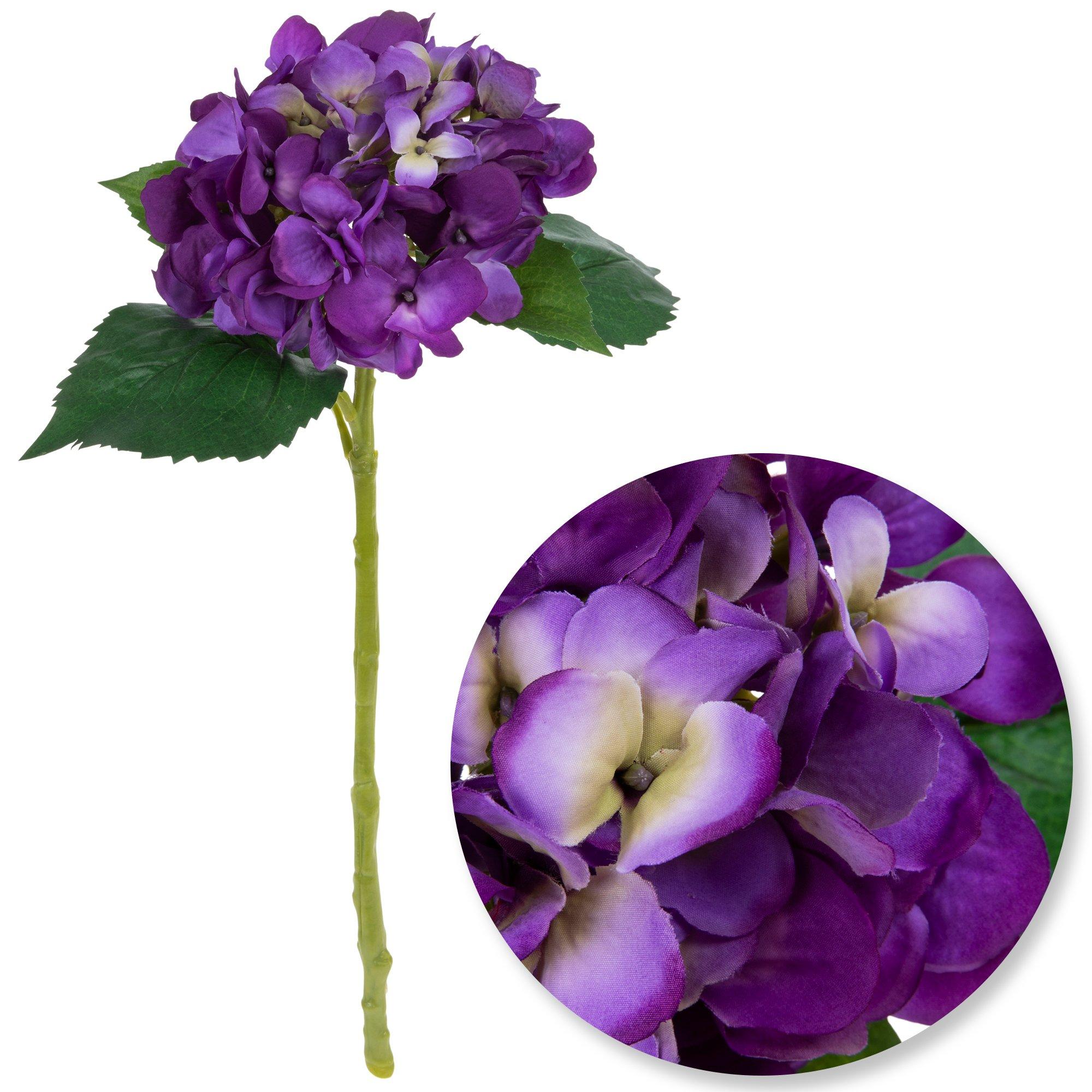 Hydrangea Stem Hobby Lobby 745059