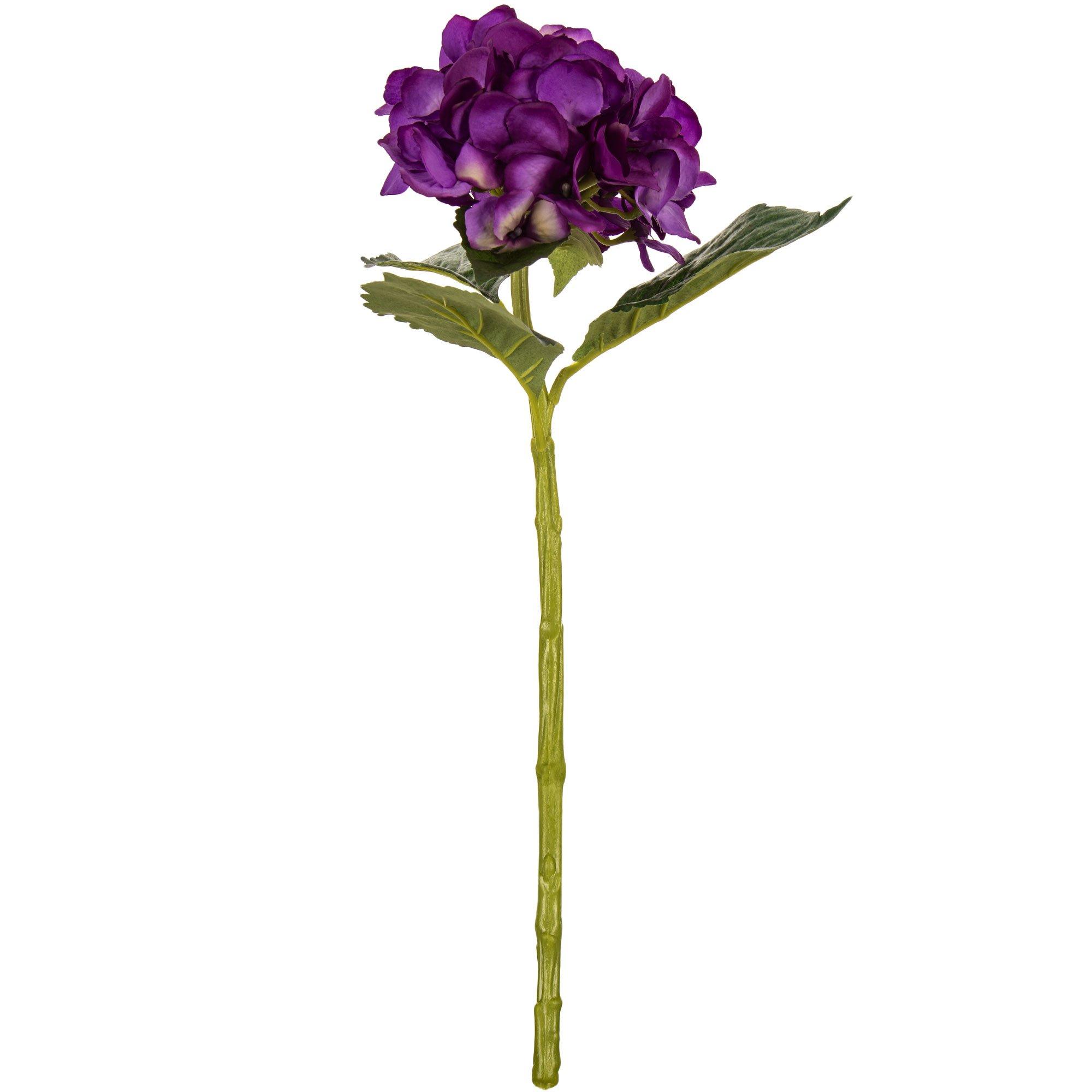 Hydrangea Stem Hobby Lobby 745059