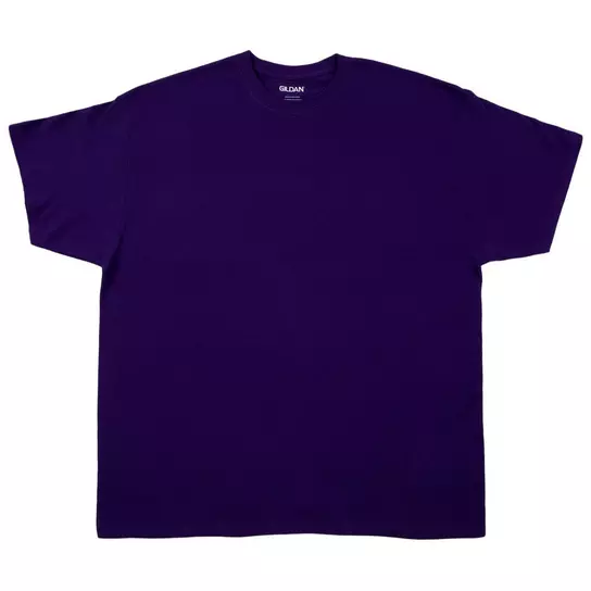 Adult T-Shirt | Hobby Lobby | 746305