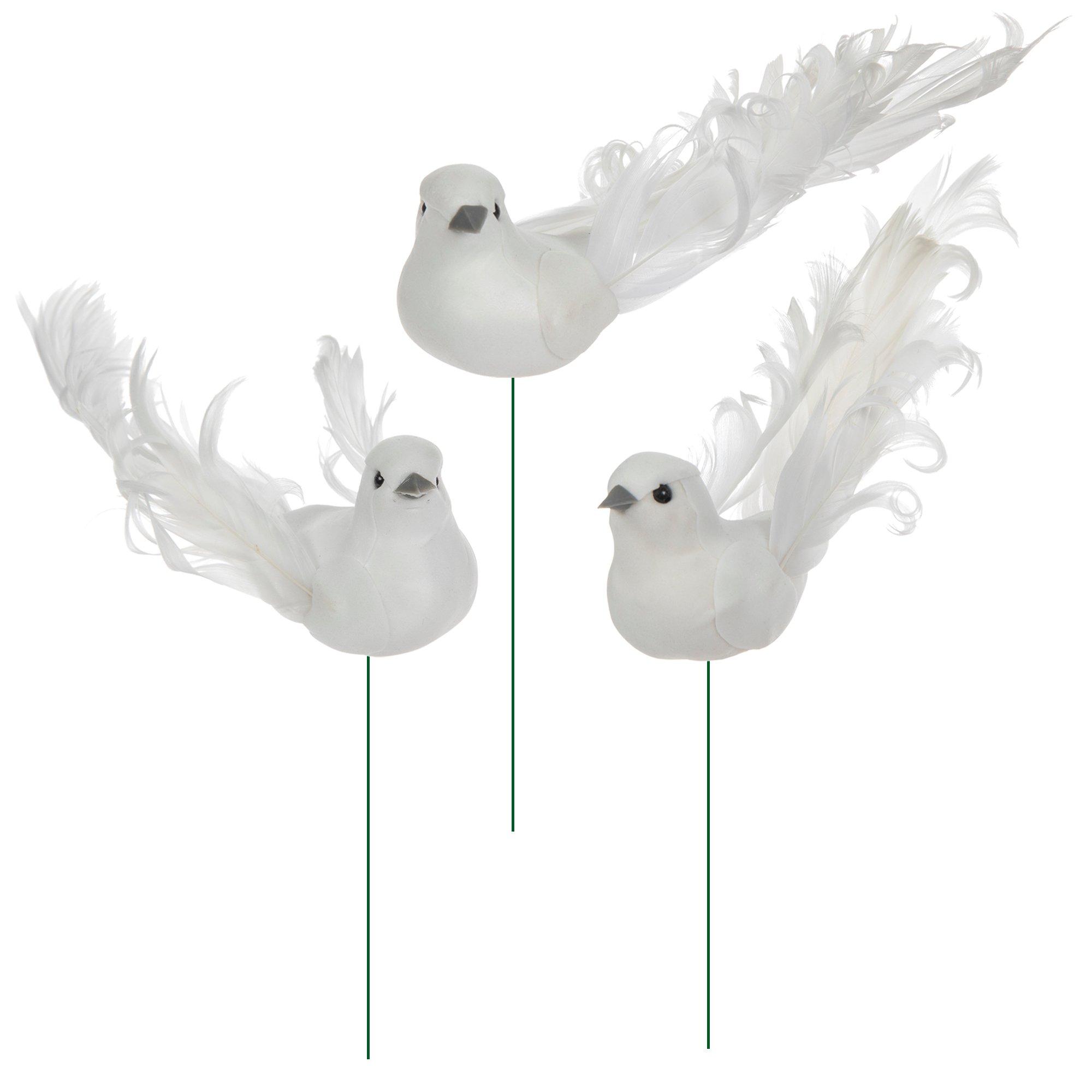 Curly Tail Feather Birds Hobby Lobby 754275