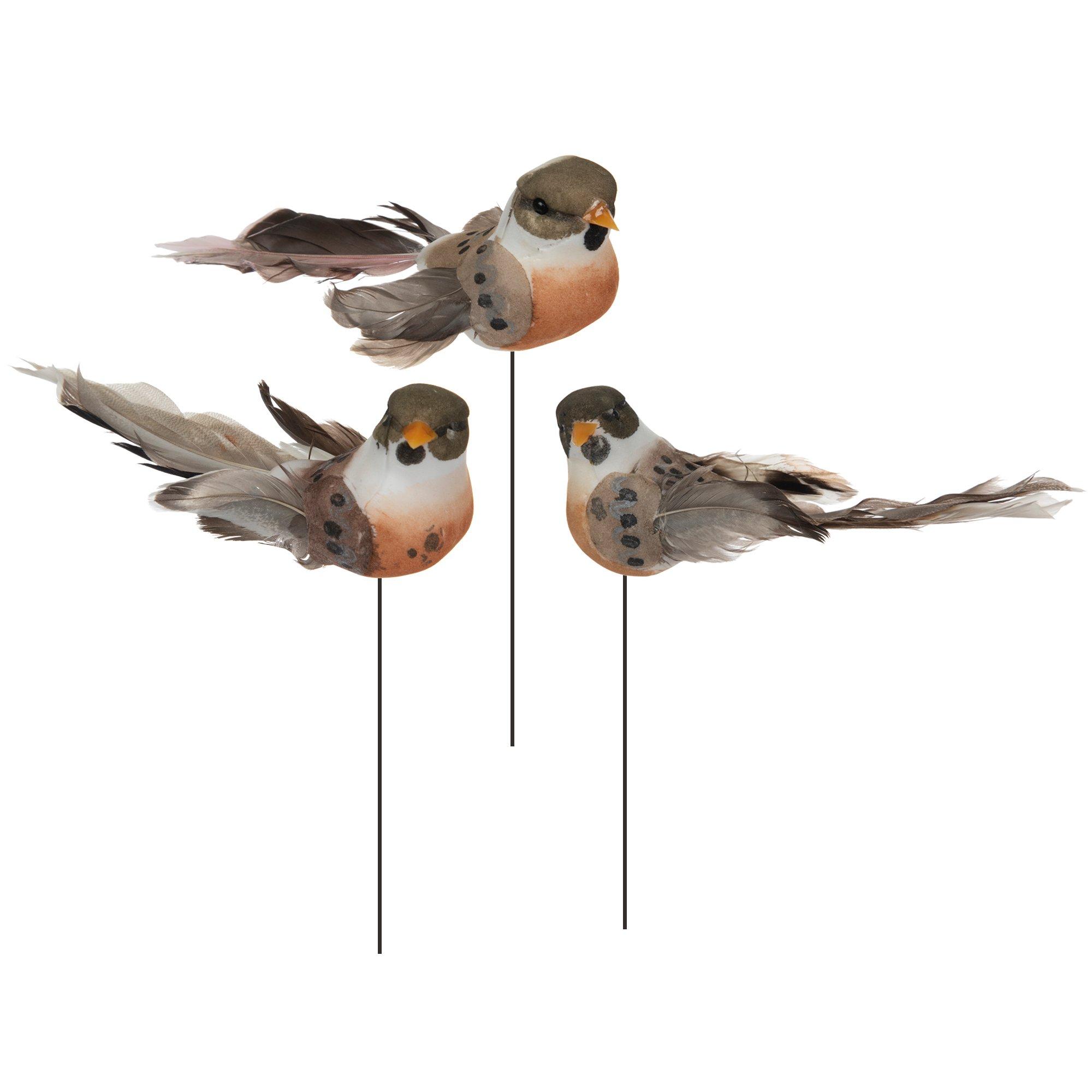 Feather Birds Hobby Lobby 774745