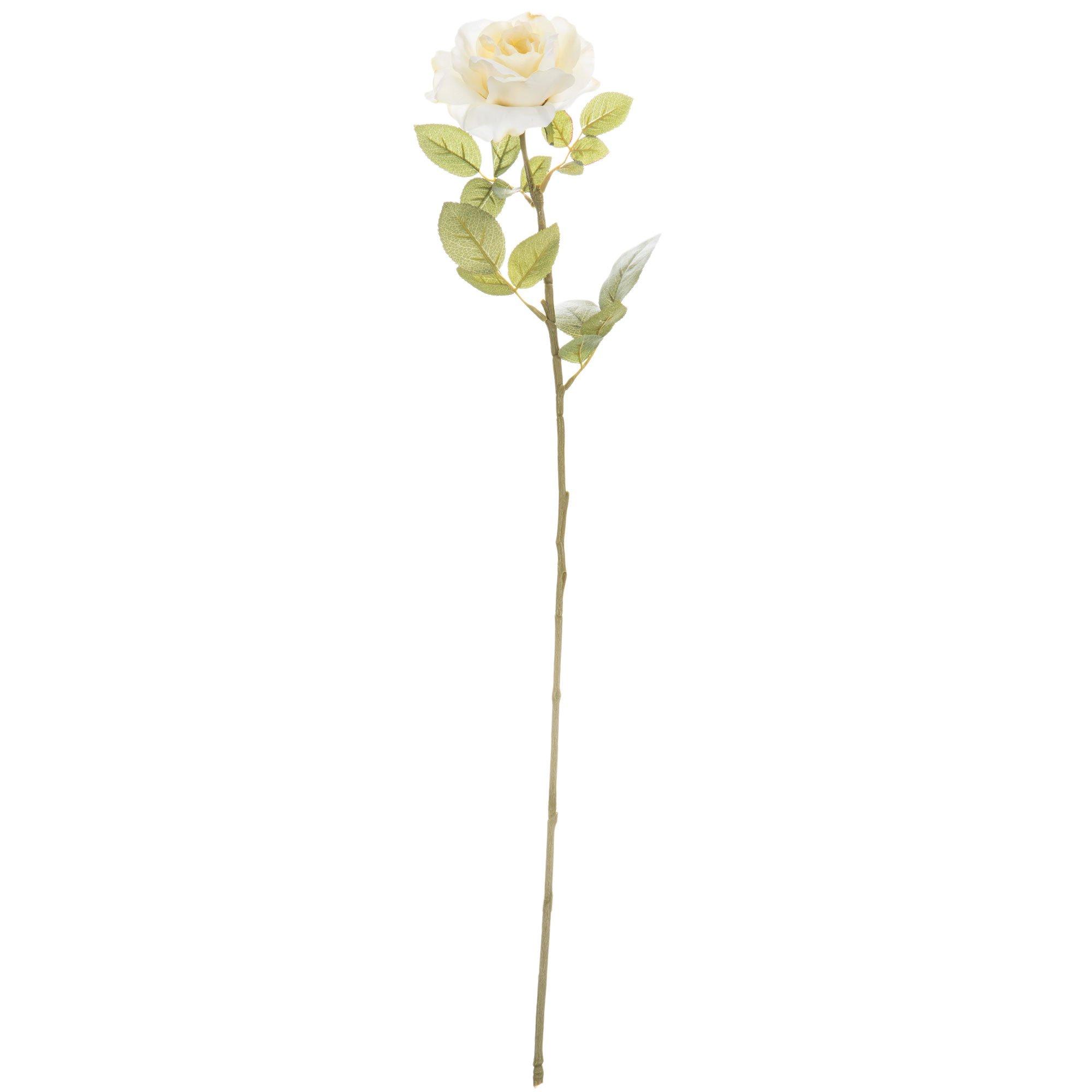 Natural Sola Beauty Rose Stems, Hobby Lobby