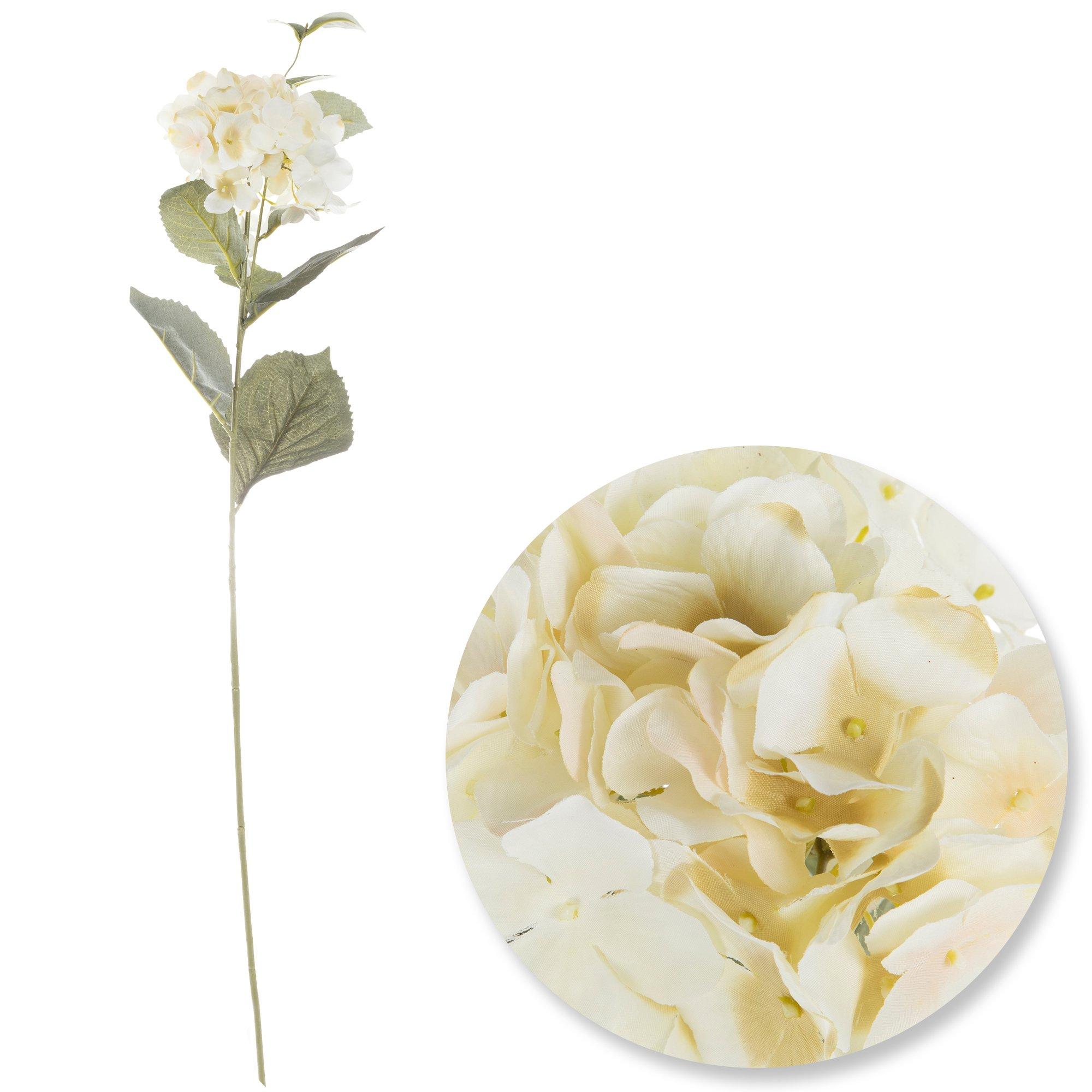 Selected Product Image