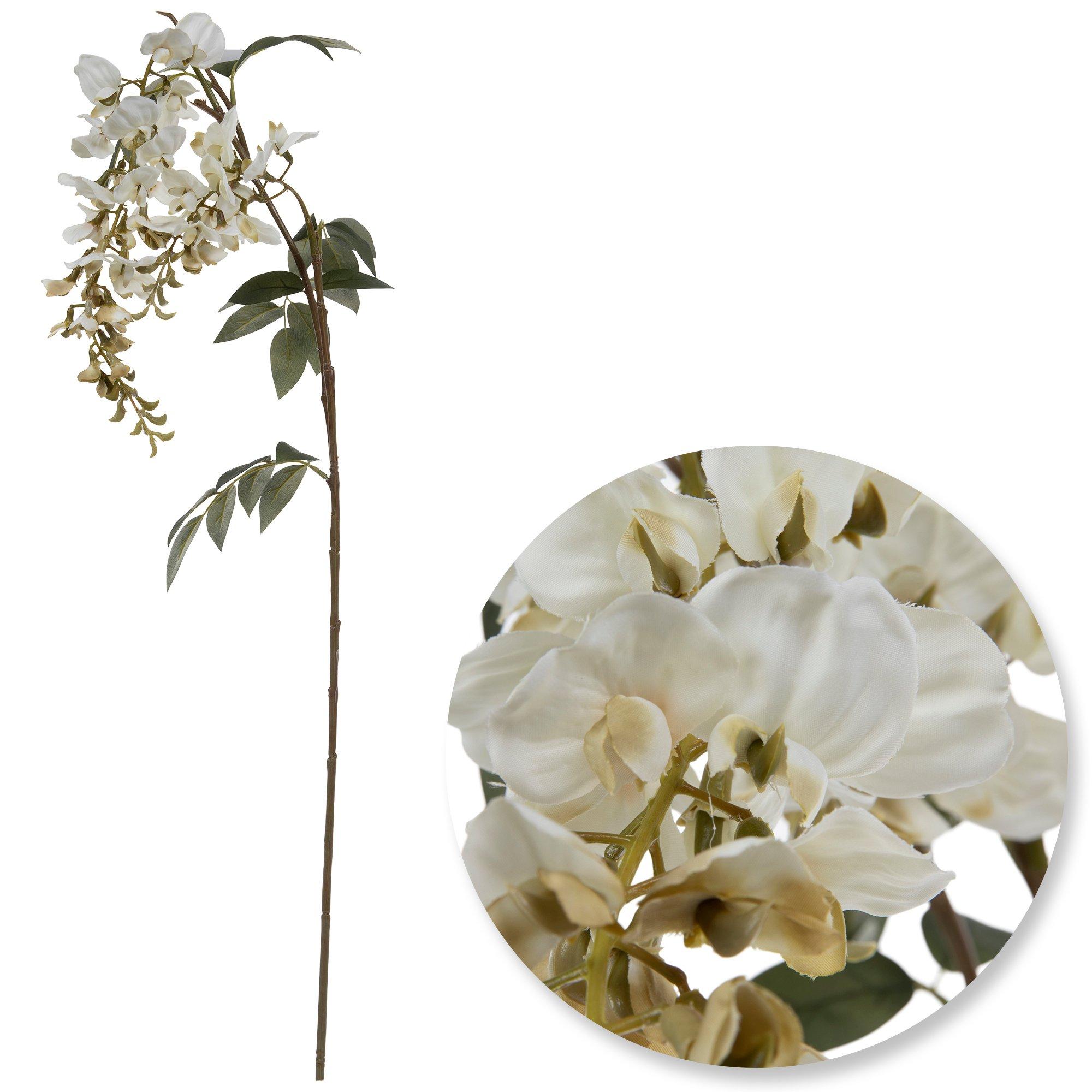 Selected Product Image