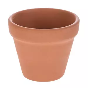 Terracotta Flower Pots