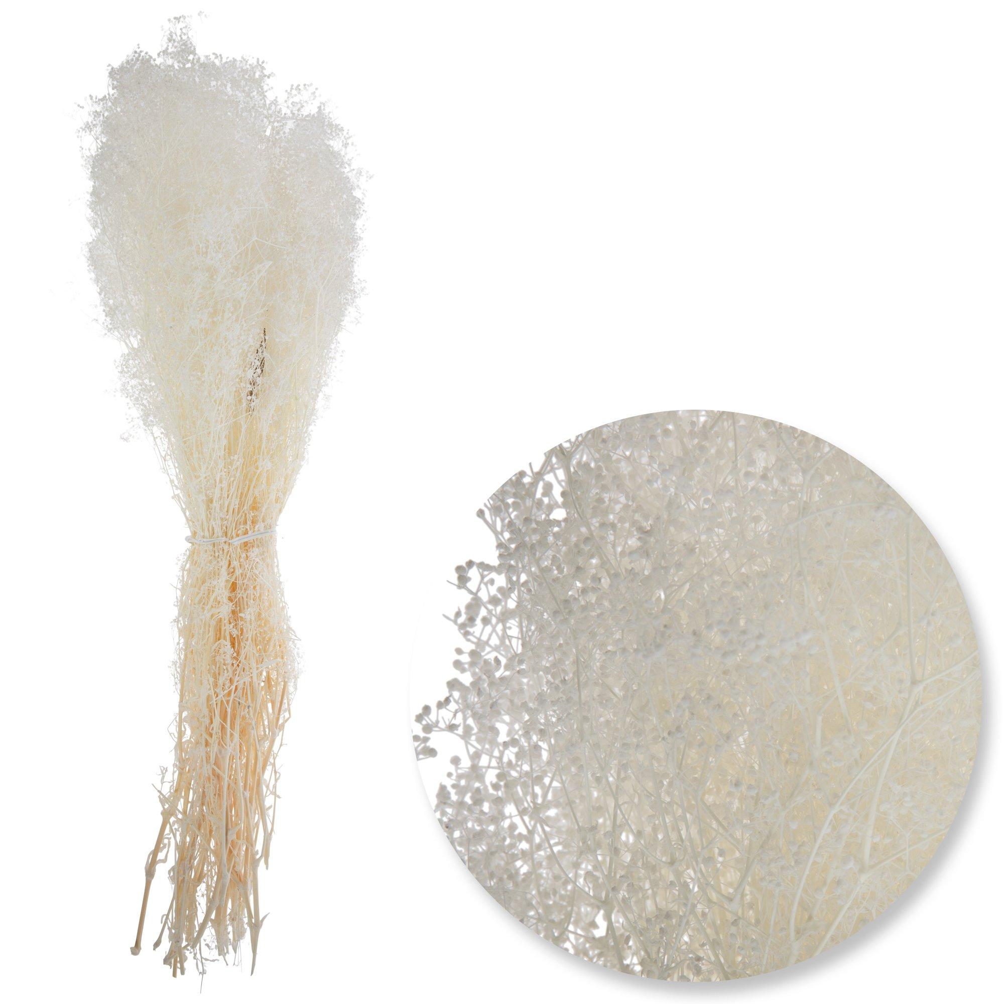Stardust Mini Gypsophila Bundle view 1