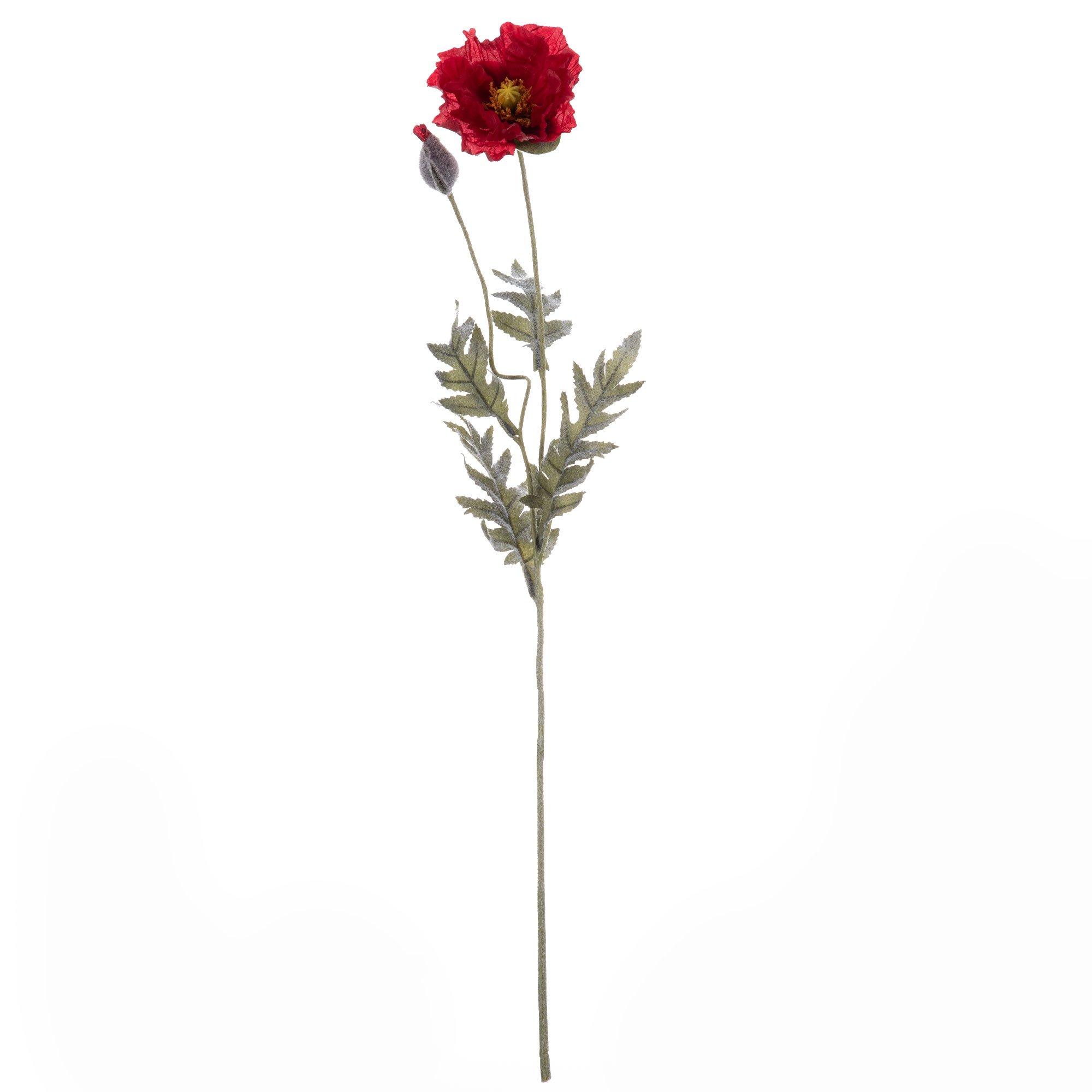 Poppy Stem | Hobby Lobby | 799965