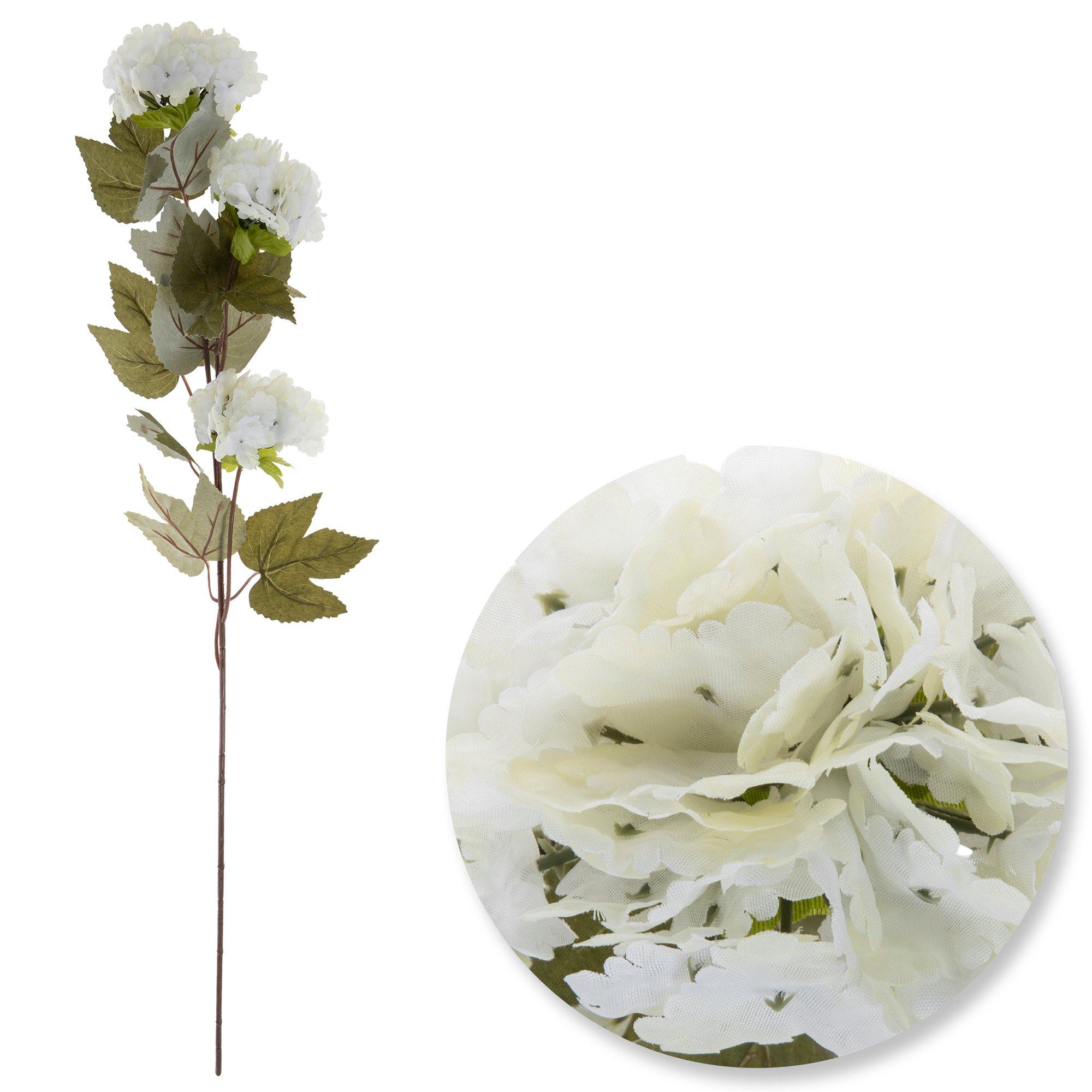 Selected Product Image