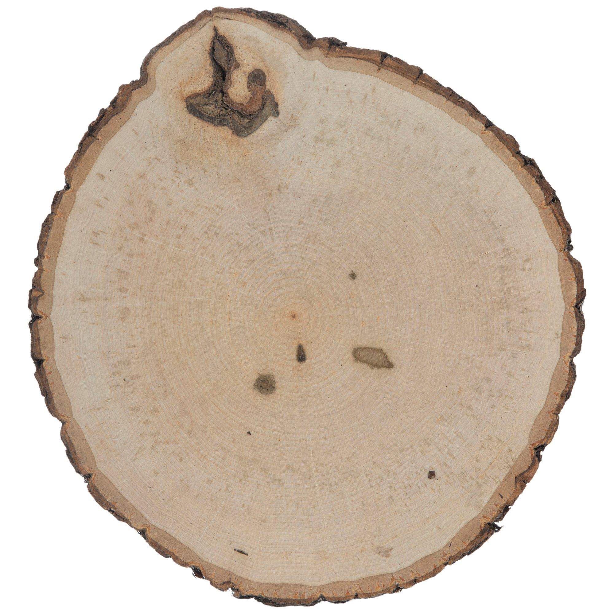 Richland Basswood Tree Slice with Bark 8\-12\ Natural, Men's, Size: One Size