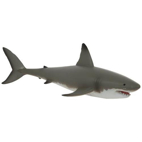 Gray Shark