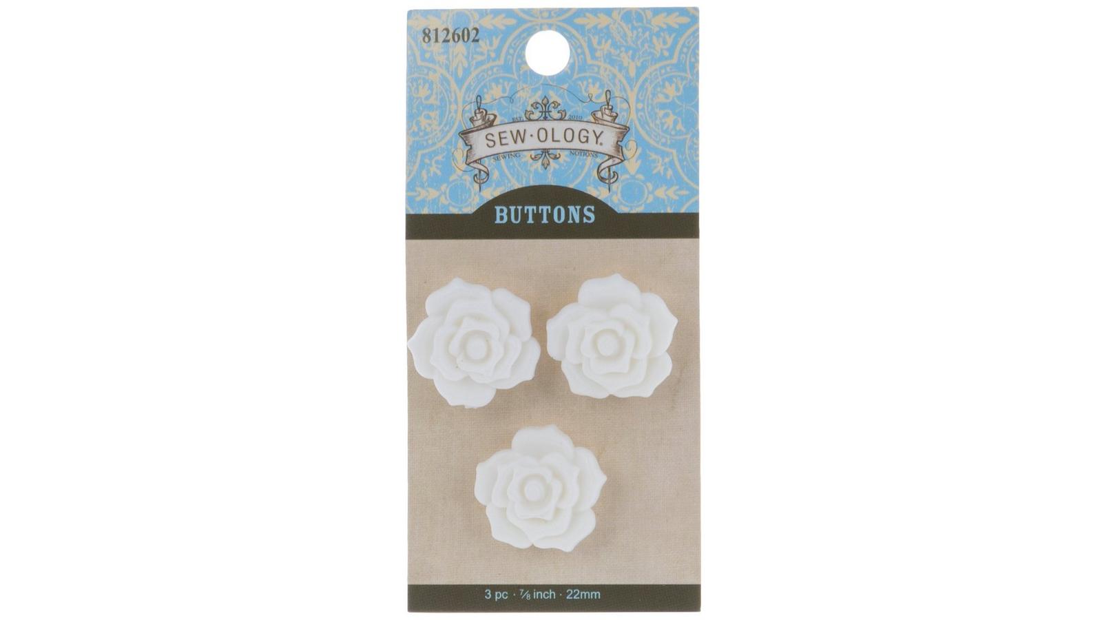 812602-115605-IMGSET?w=1600&h=900