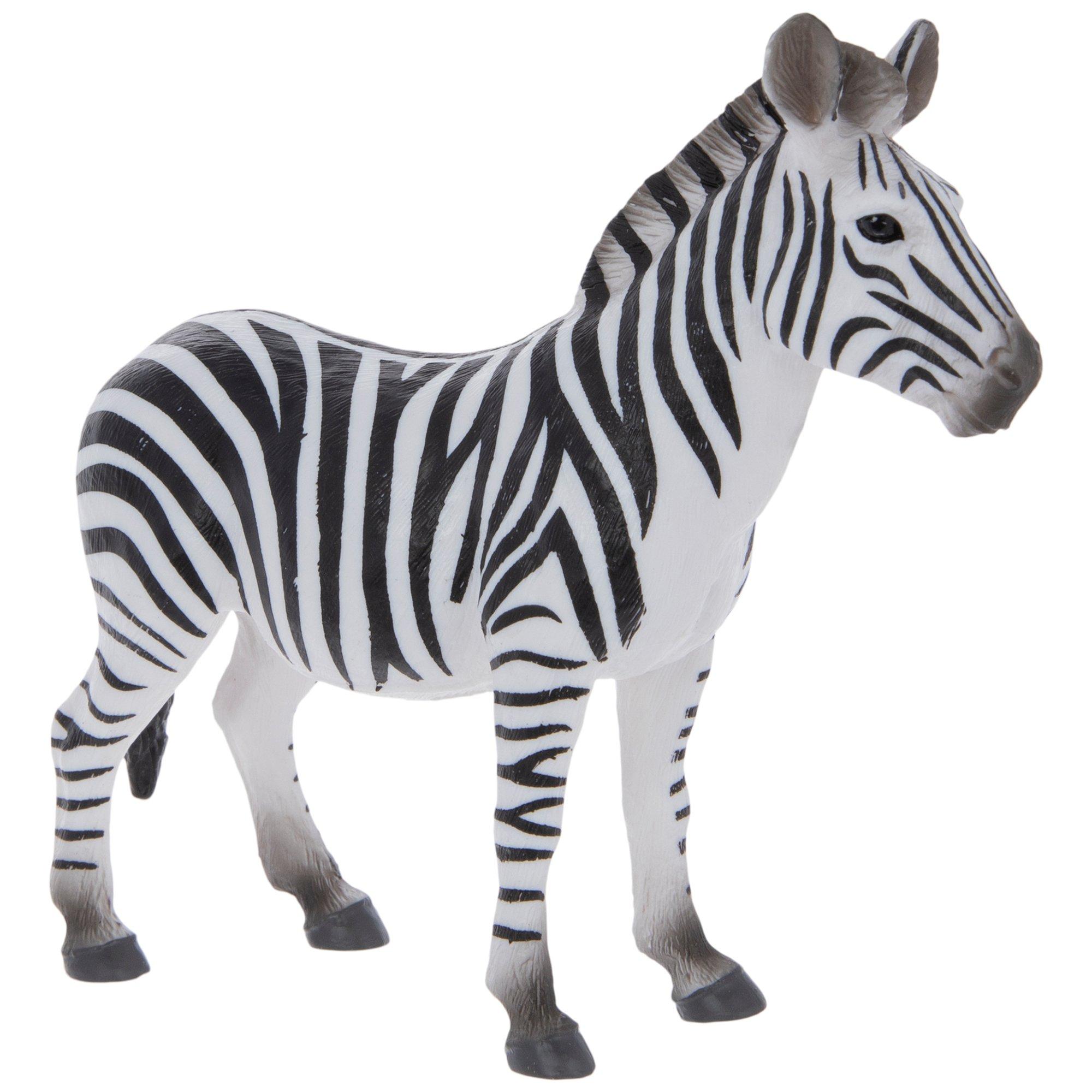 Zebra Hobby Lobby 818161