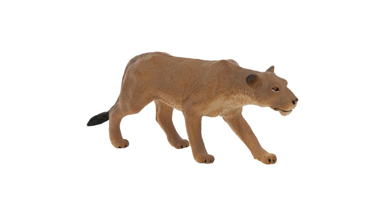 818369-34349-12182024-IMGSET?w