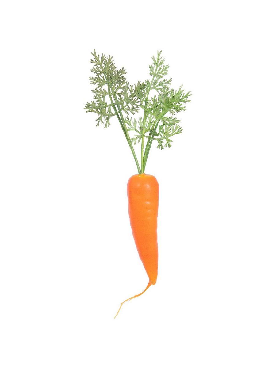 Carrot | Hobby Lobby | 820118
