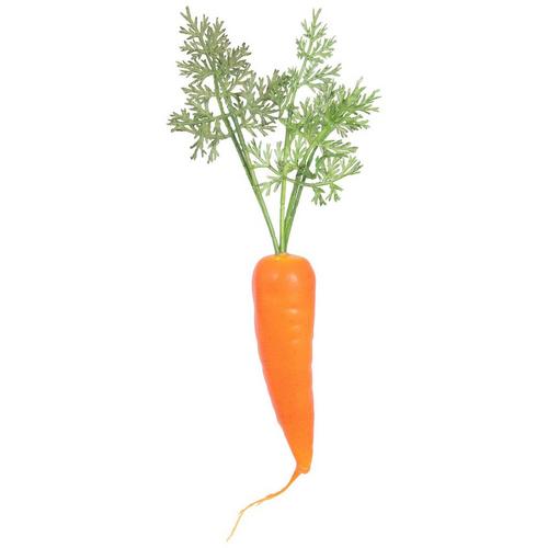 Carrot