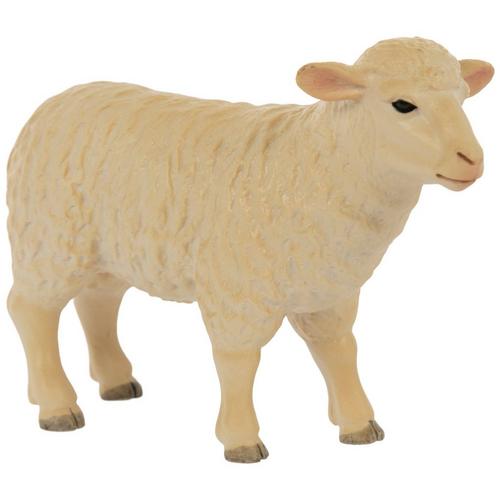 Ewe