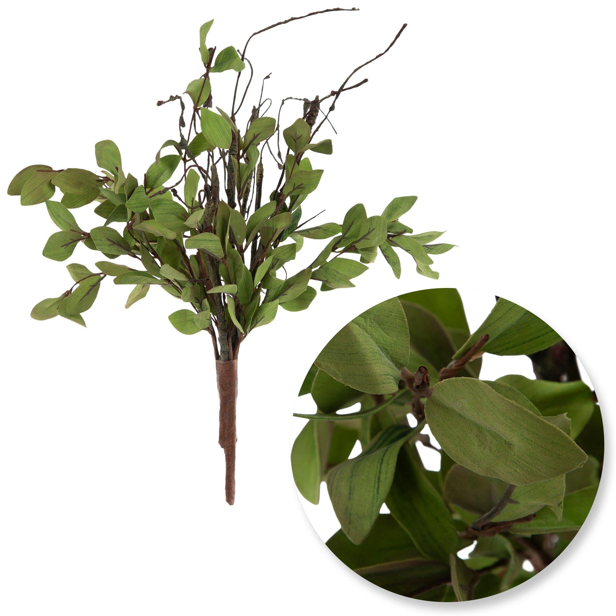 Tea Leaf Bush view 1