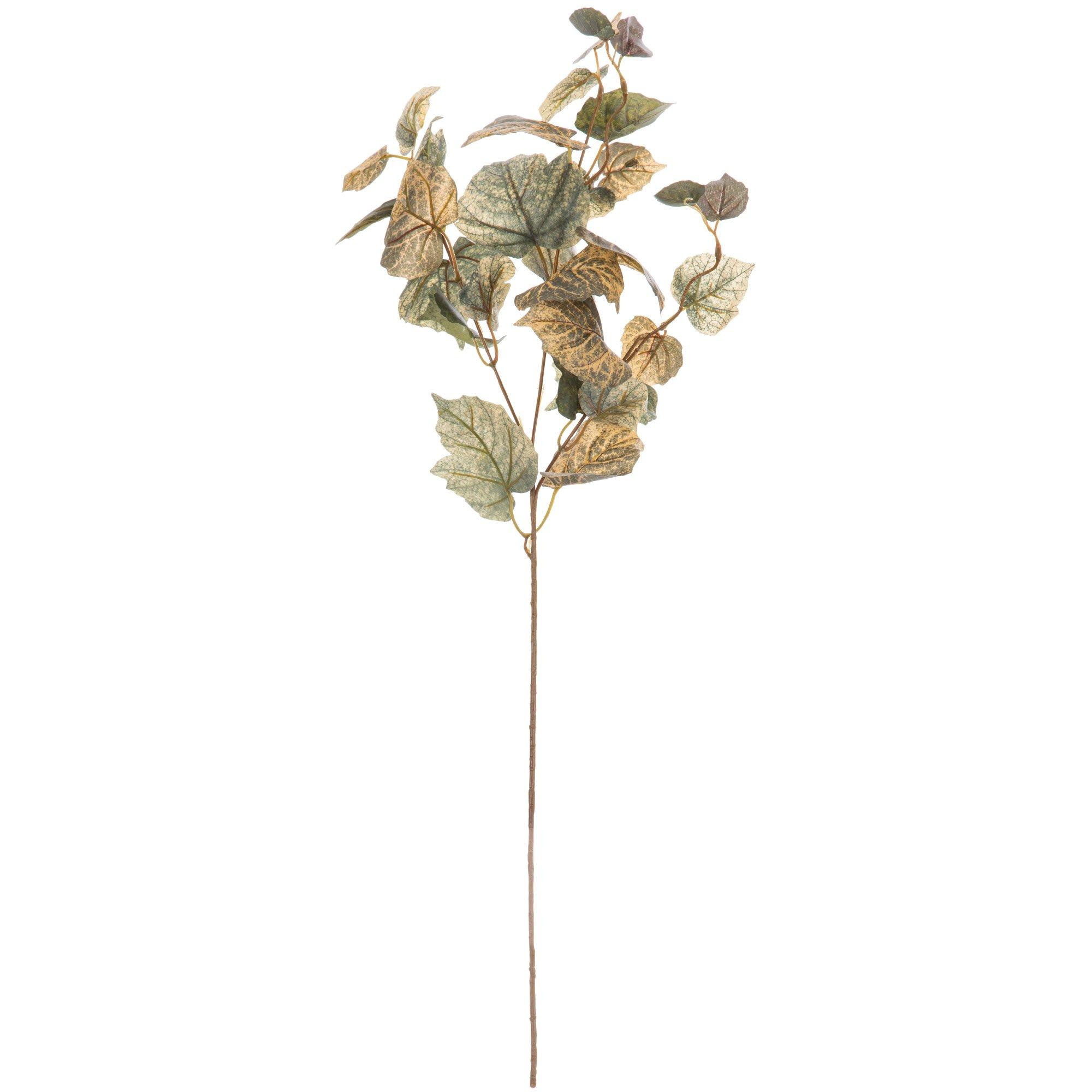 Green & Cream Cottonwood Leaf Branch Hobby Lobby 841247
