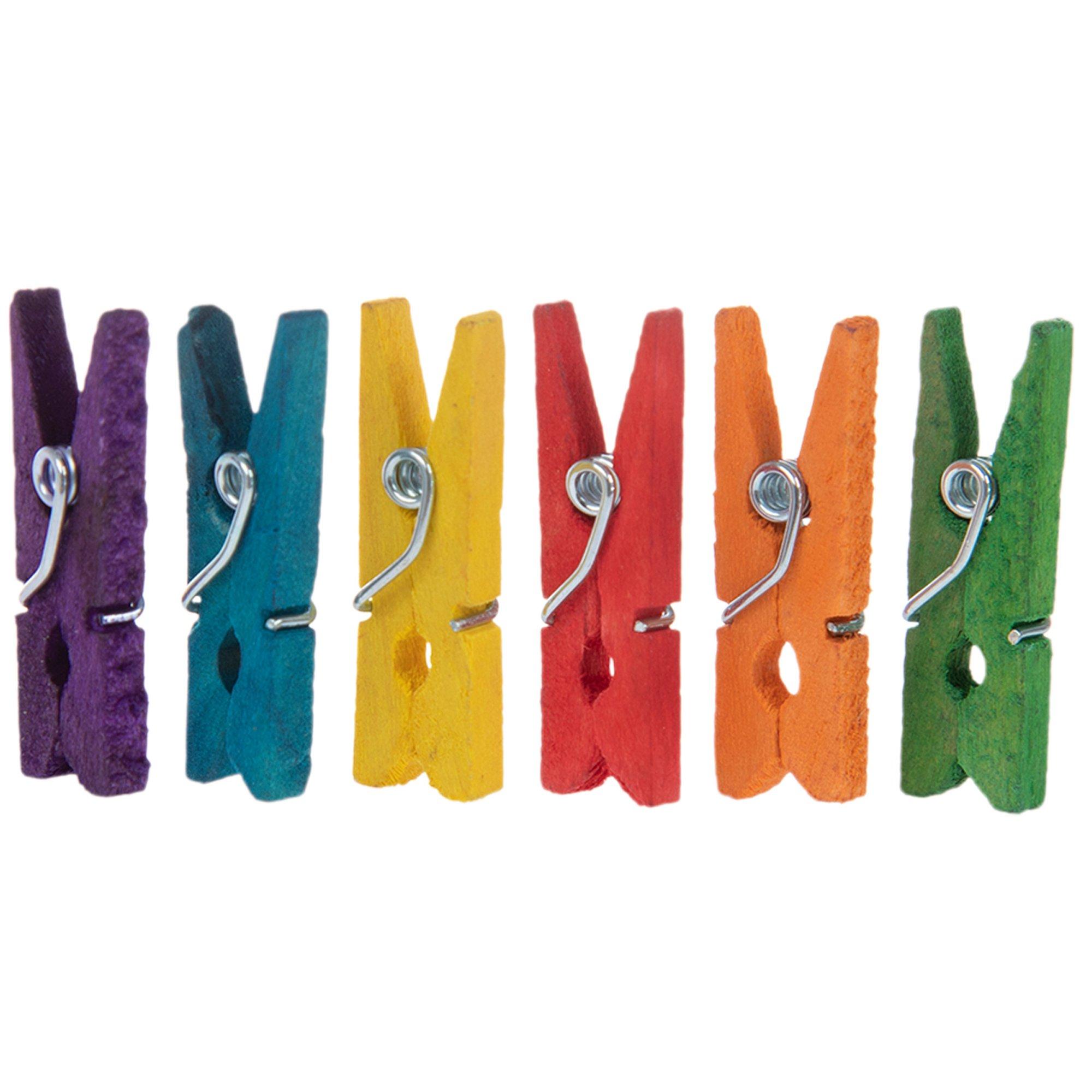 Mini Spring Clothespins Hobby Lobby 844142