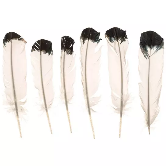 White & Black Imitation Eagle Feathers - 9