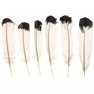 White & Black Imitation Eagle Feathers - 9" - 11"