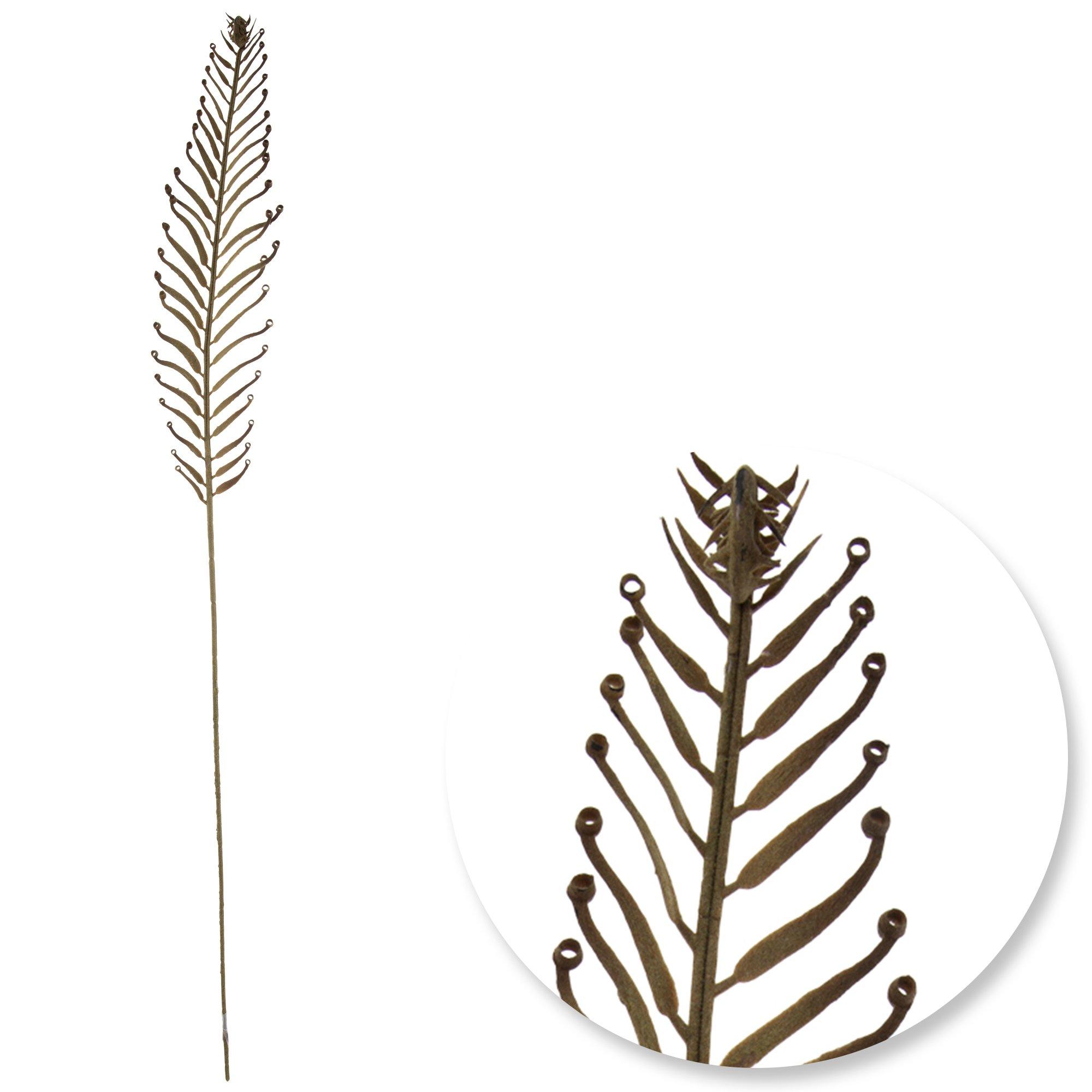 Selected Product Image