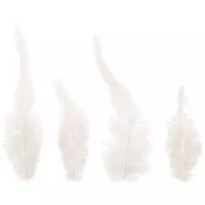 Mini Feathers, Hobby Lobby