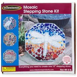 Diamond Tech Create N Learn Mosaic Stepping Stone Kit, Bug-A-Boo 