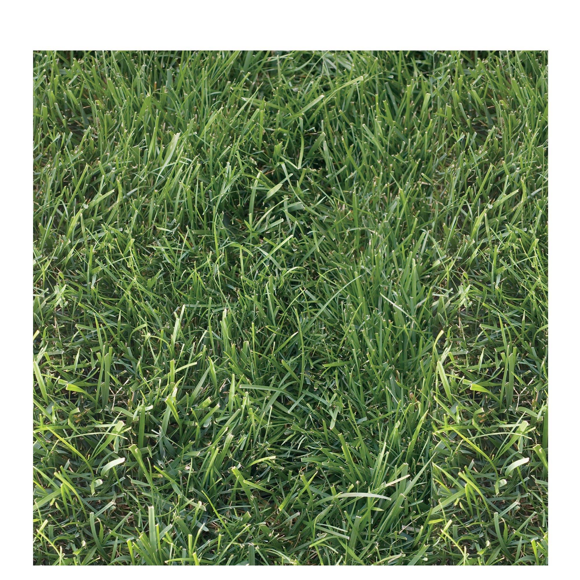 Original Gibby Grass® Sheets - 1 Set - (4) 48x48 Sheets