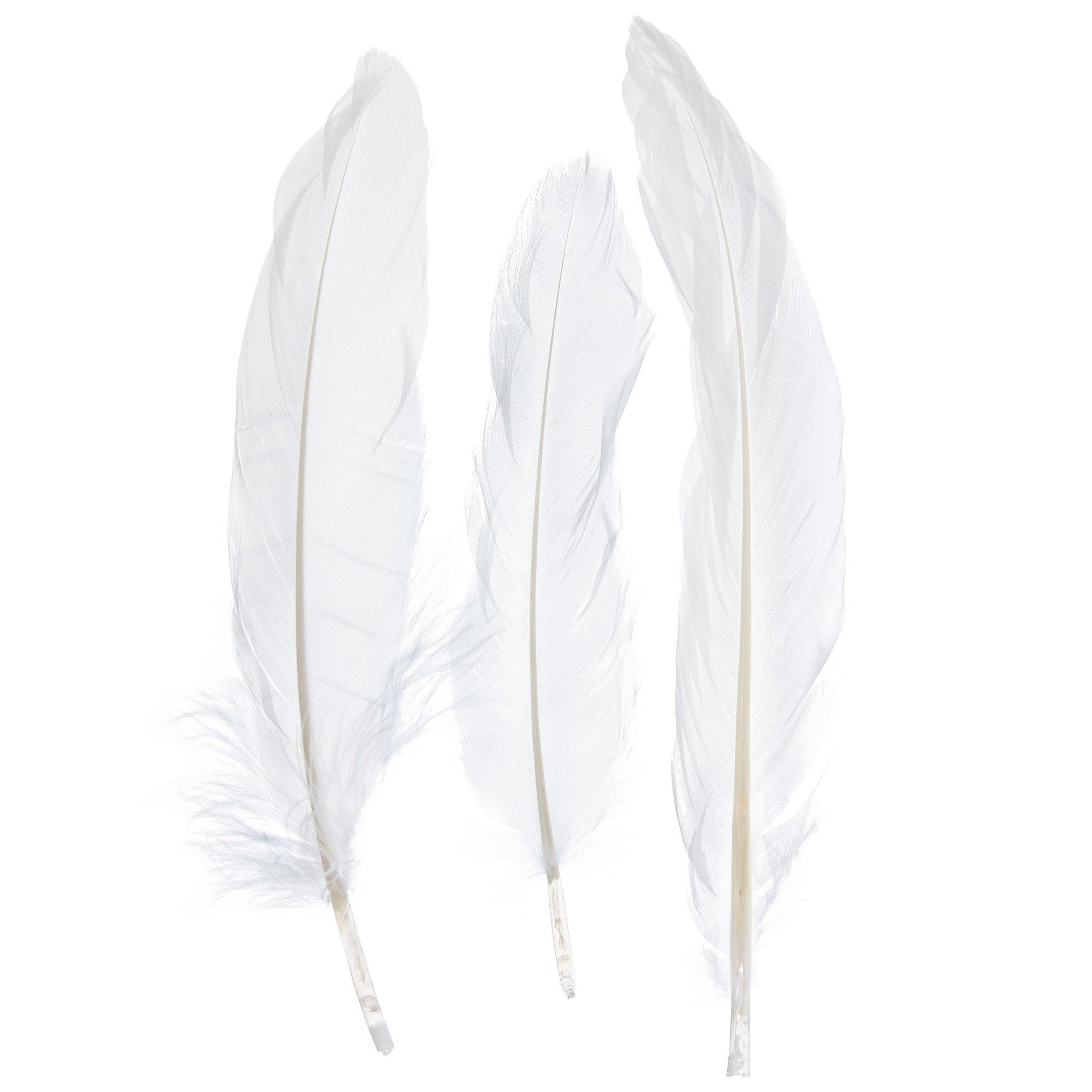 Turkey Feathers Hobby Lobby 881433