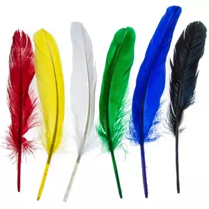 Natural Pheasant Tail Feathers - 4-10, Hobby Lobby