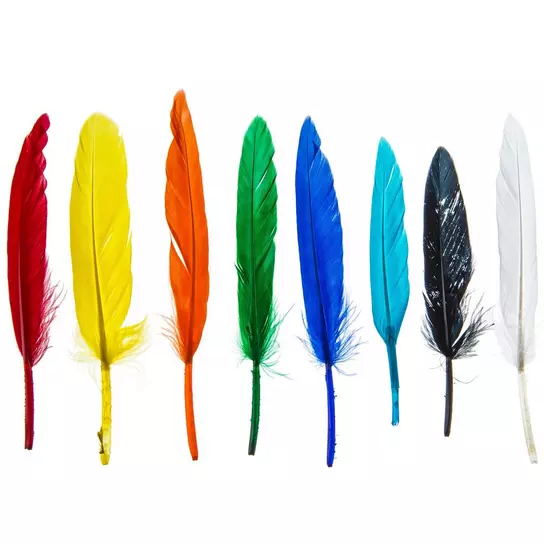 Eagle Feathers 10 Pieces Natural Feathers for Crafts DIY Handicraft  Decoration