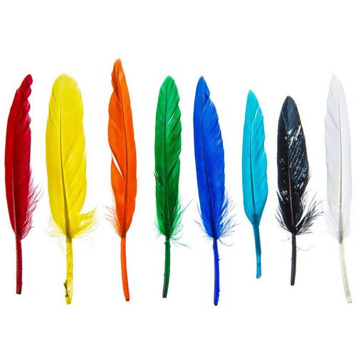 Mini Feathers