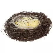 Brown Bird's Nest With White Eggs