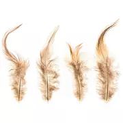 20-22 Pheasant Tail Feathers, Hobby Lobby