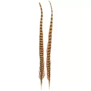 20-22" Pheasant Tail Feathers