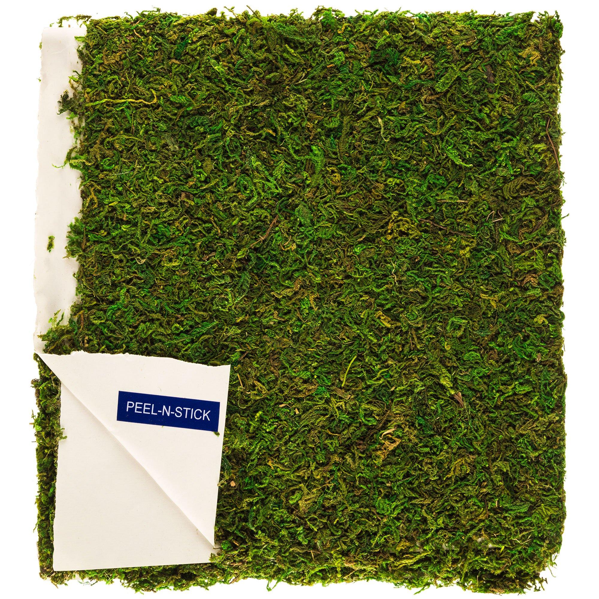 All Purpose Moss Mat 16" x 18" Hobby Lobby 890483