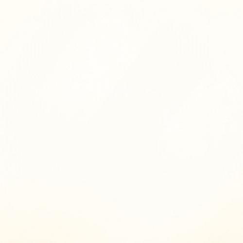 White - Polyester Lining Fabric