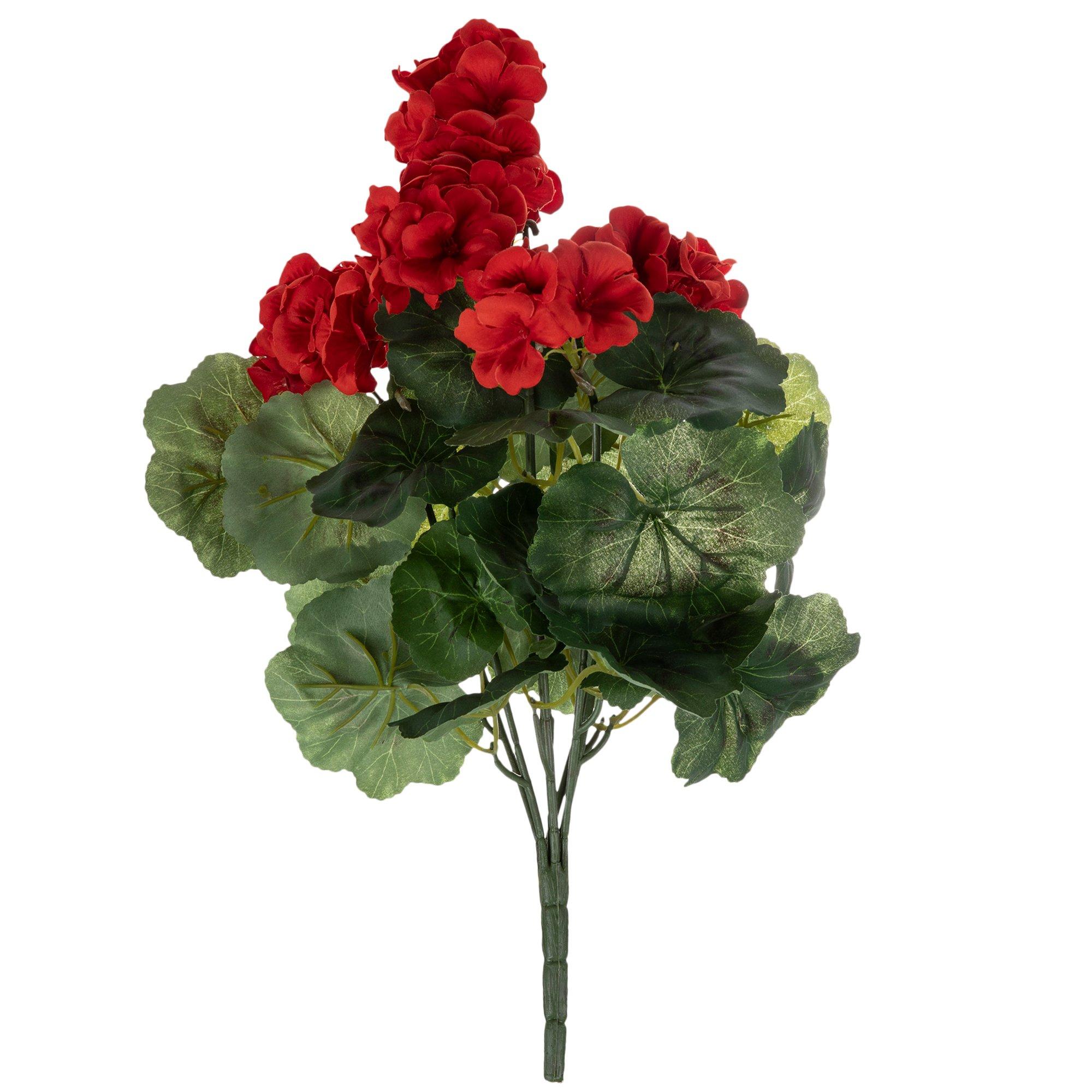 Geranium Bush Hobby Lobby 910315