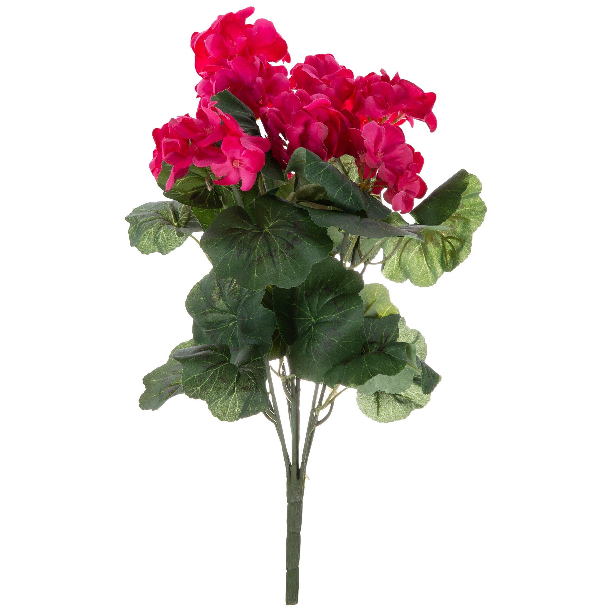 Geranium Bush Hobby Lobby 910364