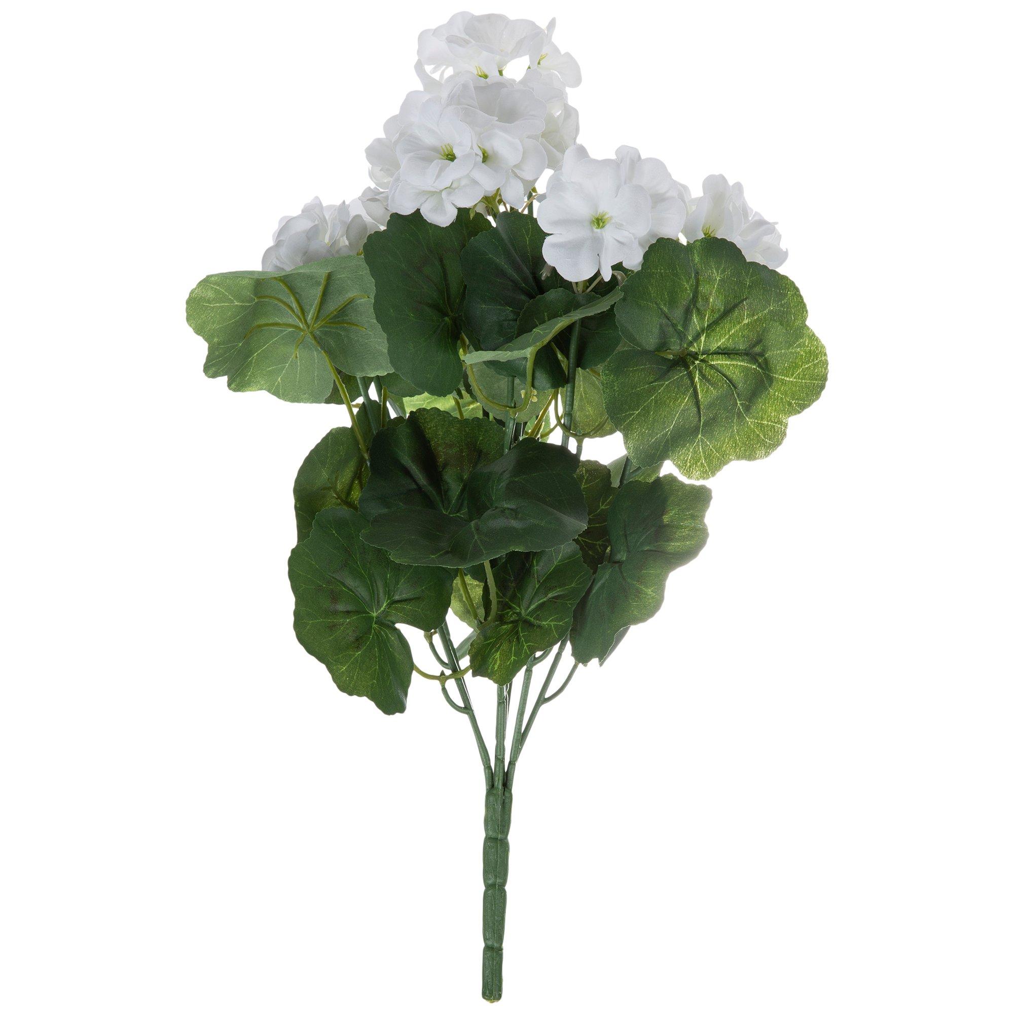 Geranium Bush Hobby Lobby 910521
