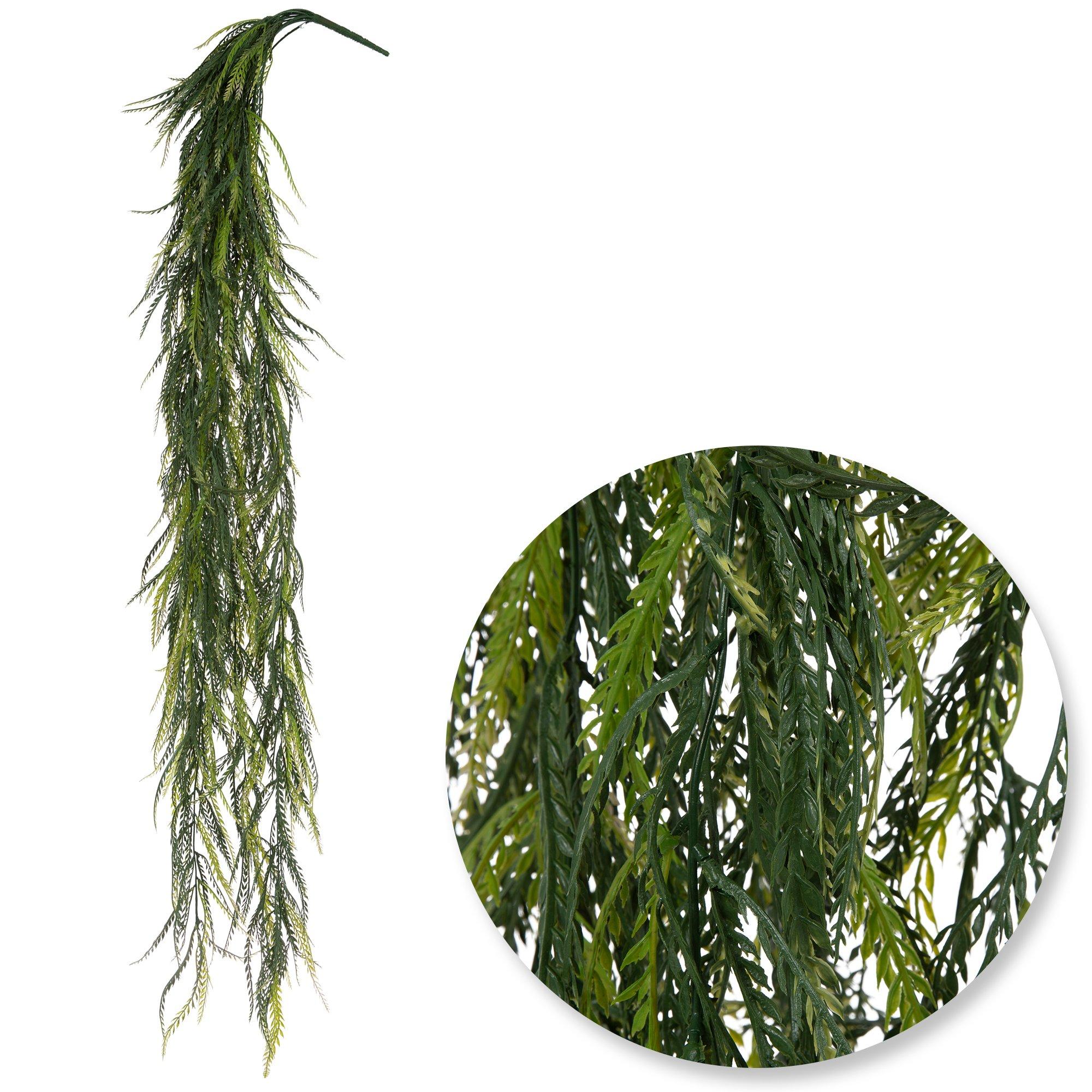 Green Saw Grass Bush view 1