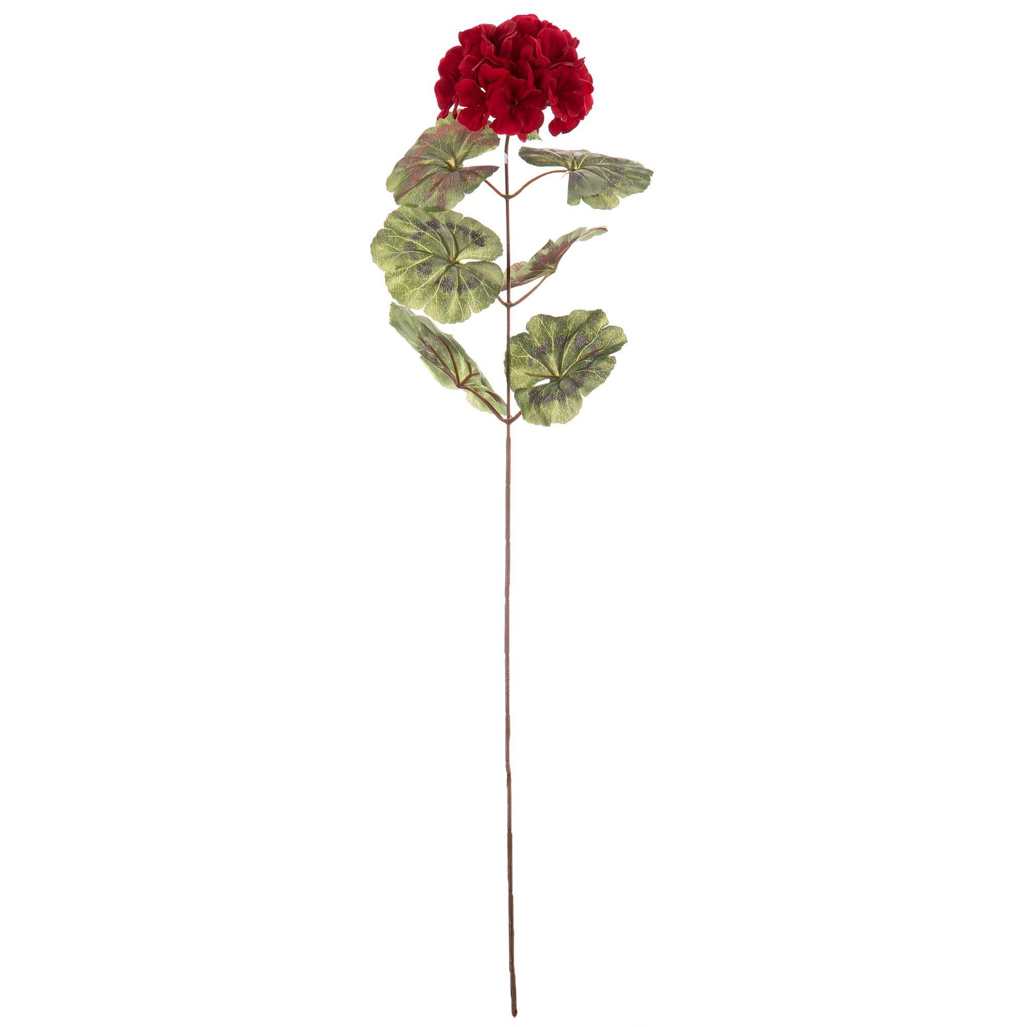 Geranium Stem Hobby Lobby 930545