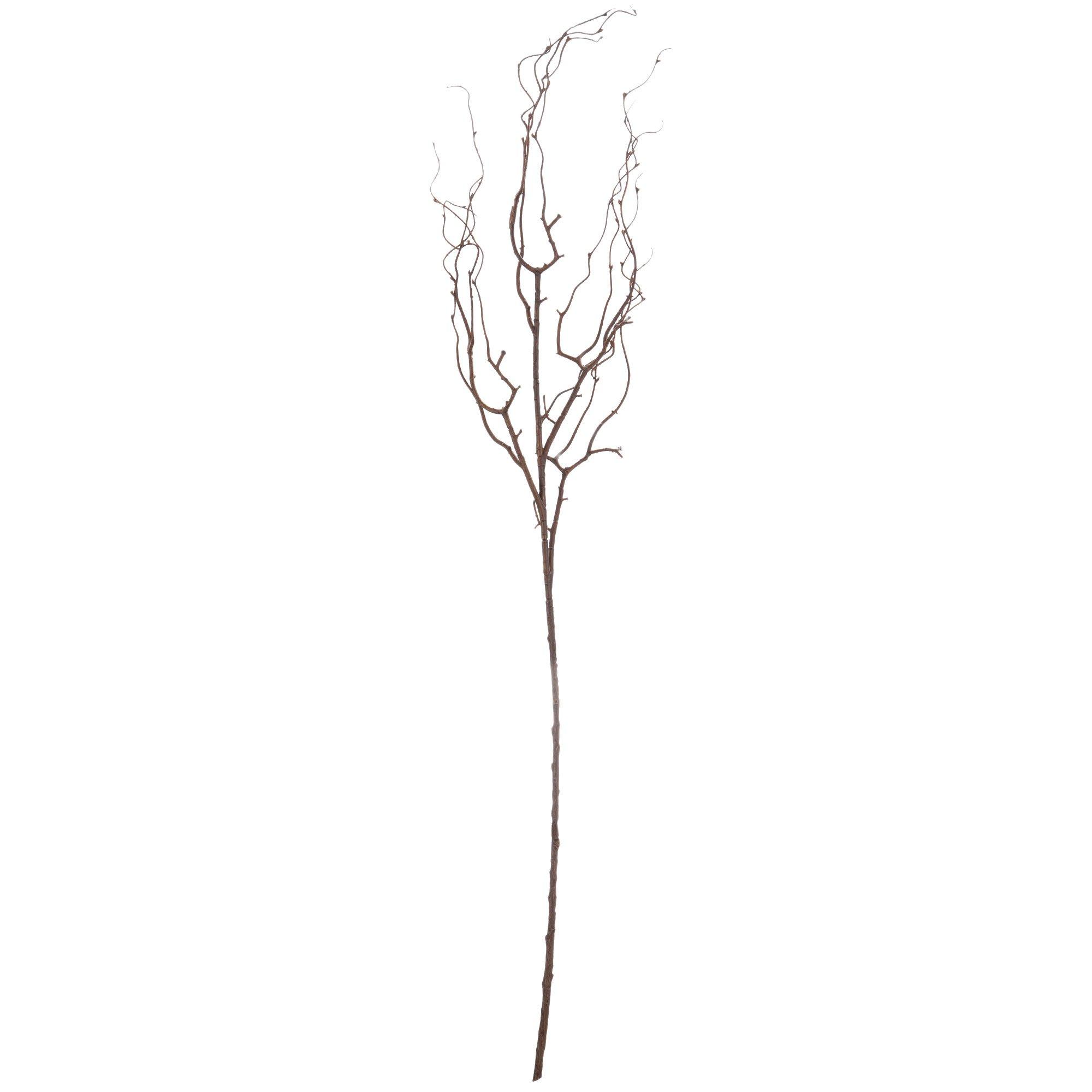 Brown Twig Stem | Hobby Lobby | 934679