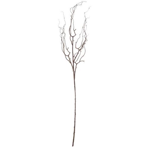 Brown Twig Stem