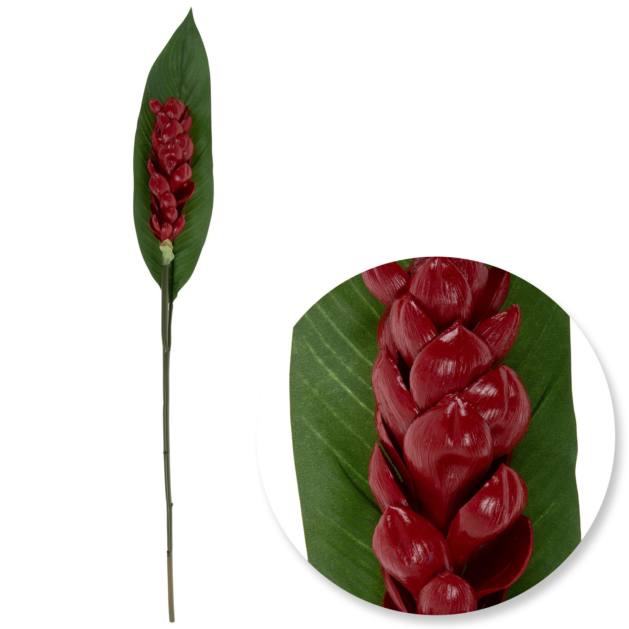 Red Torch Ginger Stem | Hobby Lobby | 940924