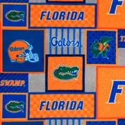 Florida Block Collegiate Fleece Fabric