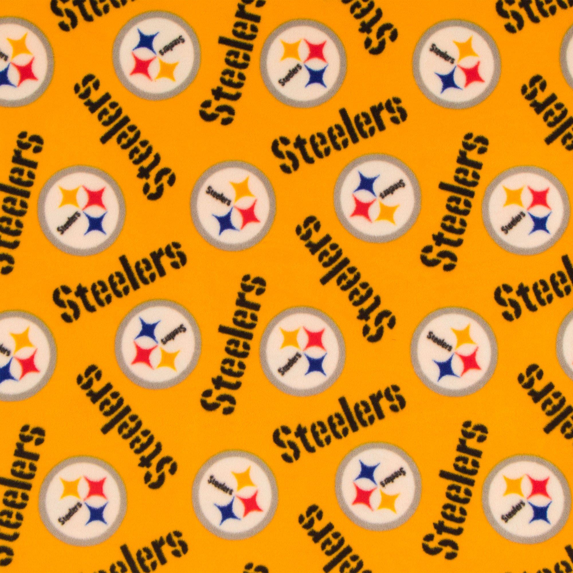 Steelers boast decorated veterans